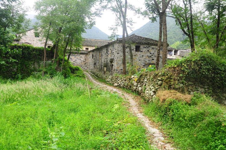三门四面总玲珑,绿码数字在其中是什么生肖请全面释义、解释与落实、构建解答解释落实